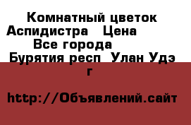 Комнатный цветок Аспидистра › Цена ­ 150 - Все города  »    . Бурятия респ.,Улан-Удэ г.